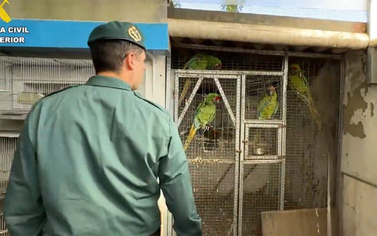 Agente entre jaulas / FOTO: Guardia Civil