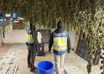 Durante uno de los registros / FOTO: Policía