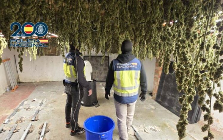 Durante uno de los registros / FOTO: Policía