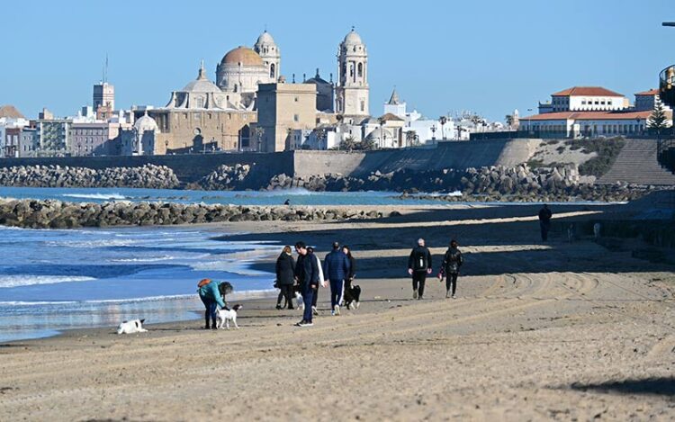 Paseos invernales con el perro por la playa / FOTO: Eulogio García