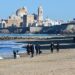 Paseos invernales con el perro por la playa / FOTO: Eulogio García