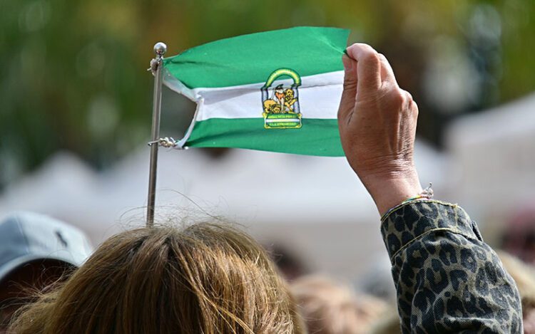 Estos días todos los partidos sacan la blanquiverde / FOTO: Eulogio García