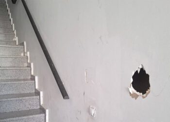 El mantenimiento de las zonas comunes es nulo / FOTO: AIG