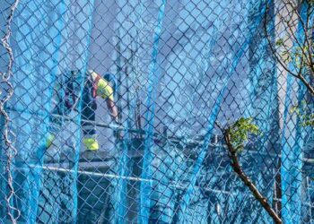 En el tajo / FOTO: Eulogio García