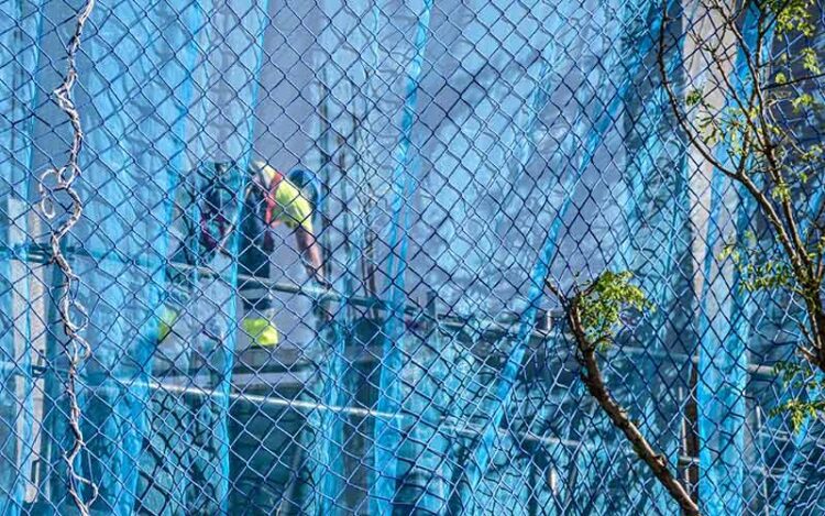 En el tajo / FOTO: Eulogio García