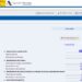Pantallazo a Renta Web