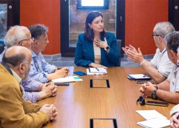 Un momento de la reunión con Isla de León / FOTO: Ayto.