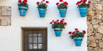FOTO: freepik.es