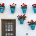 FOTO: freepik.es