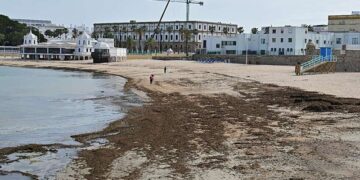 Una mañana primaveral en La Caleta, con sus algas / FOTO: Eulogio García