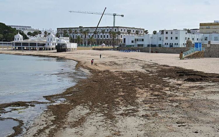 Una mañana primaveral en La Caleta, con sus algas / FOTO: Eulogio García