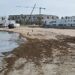 Una mañana primaveral en La Caleta, con sus algas / FOTO: Eulogio García