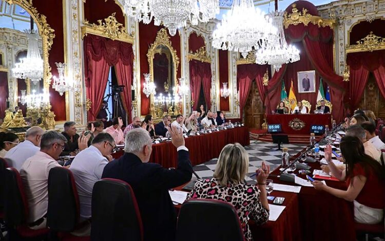 Votando uno de los puntos del pleno / FOTO: Eulogio García