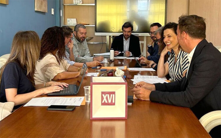 Alegre presidiendo la última Junta de Gobierno / FOTO: Mancomunidad