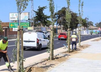 Detalle de la renovada avenida de la Rana Verde / FOTO: Ayto.