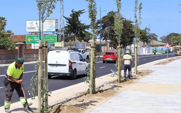 Detalle de la renovada avenida de la Rana Verde / FOTO: Ayto.