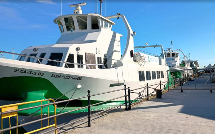 Varios de los catamaranes atracados en la terminal portuense / FOTO: DBC