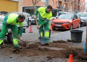 Operarios en plena plantación / FOTO: Ayto.