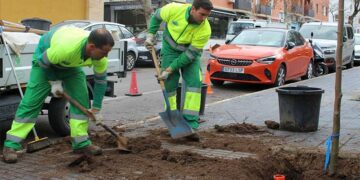Operarios en plena plantación / FOTO: Ayto.