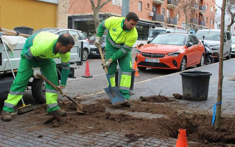 Operarios en plena plantación / FOTO: Ayto.