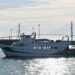 El catamarán y el segundo puente, dos de los símbolos de unión de la Bahía / FOTO: Eulogio García