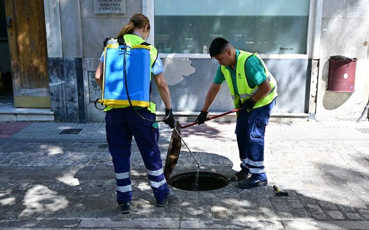 Trabajando en el alcantarillado del centro histórico / FOTO: Eulogio García