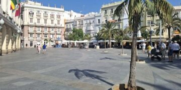 Palmeras en el frontal del Ayuntamiento / FOTO: AIG