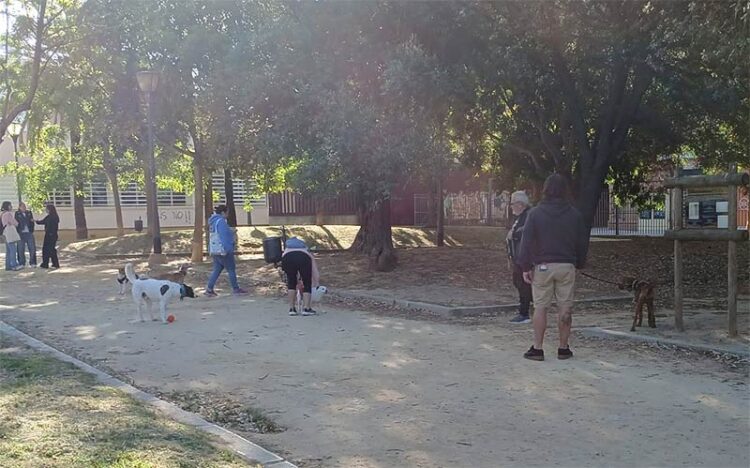 Paseando al perro en la zona de Varela / FOTO: Ayto.