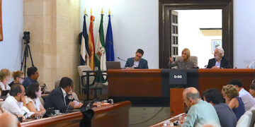 Un momento del pleno extraordinario / FOTO: Ayto.