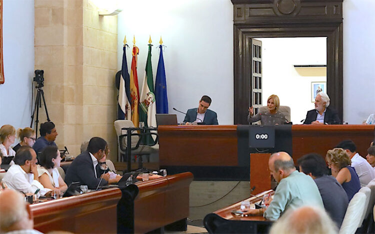 Un momento del pleno extraordinario / FOTO: Ayto.