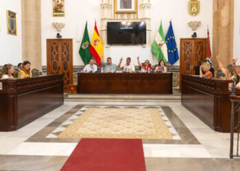Un momento del pleno urgente / FOTO: Ayto.