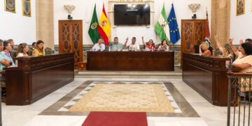 Un momento del pleno urgente / FOTO: Ayto.