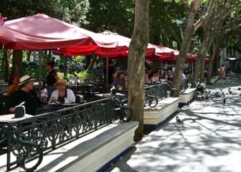 Terrazas a pleno rendimiento en la plaza Mina de Cádiz / FOTO: Eulogio García