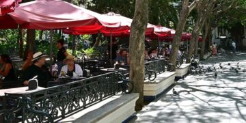 Terrazas a pleno rendimiento en la plaza Mina de Cádiz / FOTO: Eulogio García