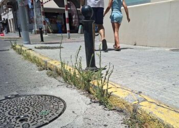 Malas hierbas entre bordillos / FOTO: AIG