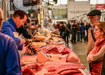 La zona de pescadería de la plaza, otro atractivo para turistas / FOTO: Eulogio García