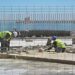 Operarios recolocando el nuevo adoquinado / FOTO: Eulogio García