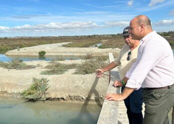 Curtido en una pasada visita al Parque Natural Bahía de Cádiz / FOTO: Junta
