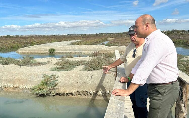 Curtido en una pasada visita al Parque Natural Bahía de Cádiz / FOTO: Junta