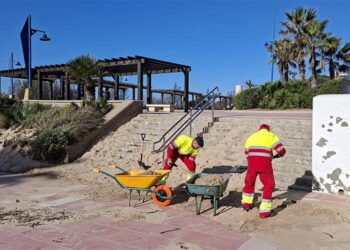 Operarios adecentando los accesos a La Barrosa el pasado febrero / FOTO: Ayto.