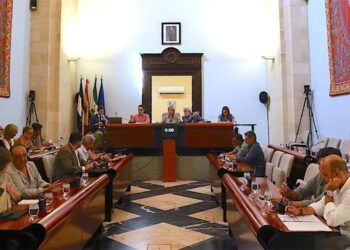 Un momento del pleno extraordinario / FOTO: Ayto.