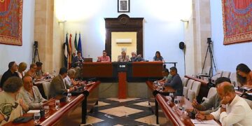 Un momento del pleno extraordinario / FOTO: Ayto.