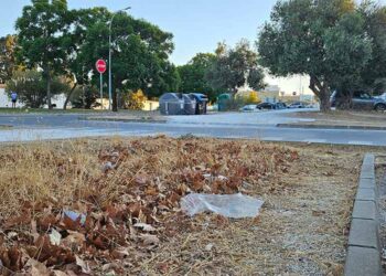 Un rincón de Los Frailes abandonado por el Ayuntamiento / FOTO: Flave