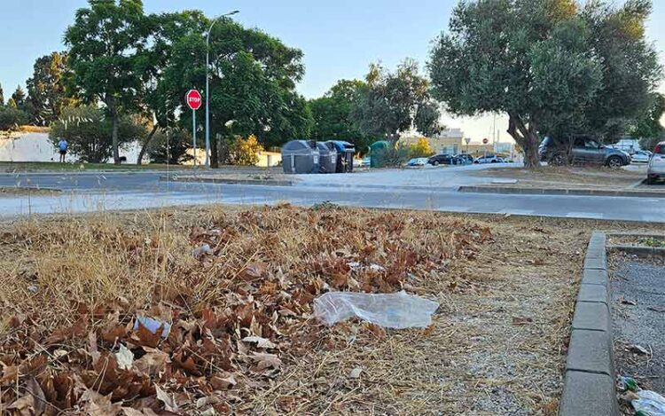 Un rincón de Los Frailes abandonado por el Ayuntamiento / FOTO: Flave