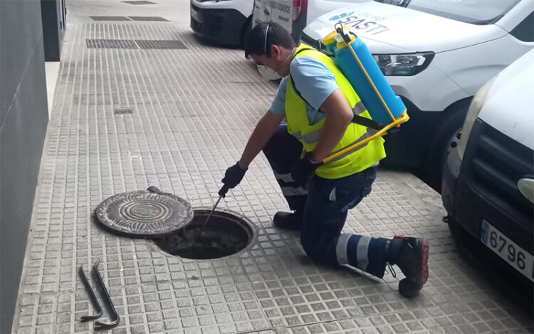 Operario aplicando el veneno en una de las alcantarillas / FOTO: Ayto.