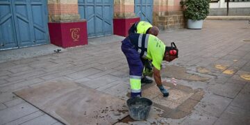 Retirando con urgencia la placa colocada en mayo frente al Falla / FOTO: Eulogio García